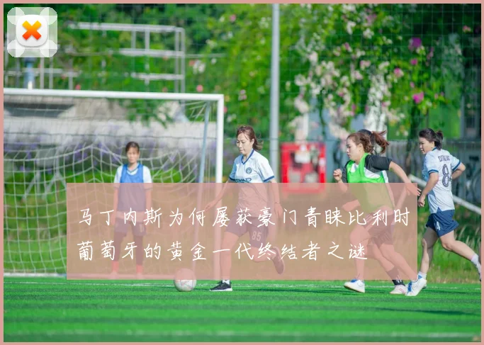 马丁内斯为何屡获豪门青睐比利时葡萄牙的黄金一代终结者之谜